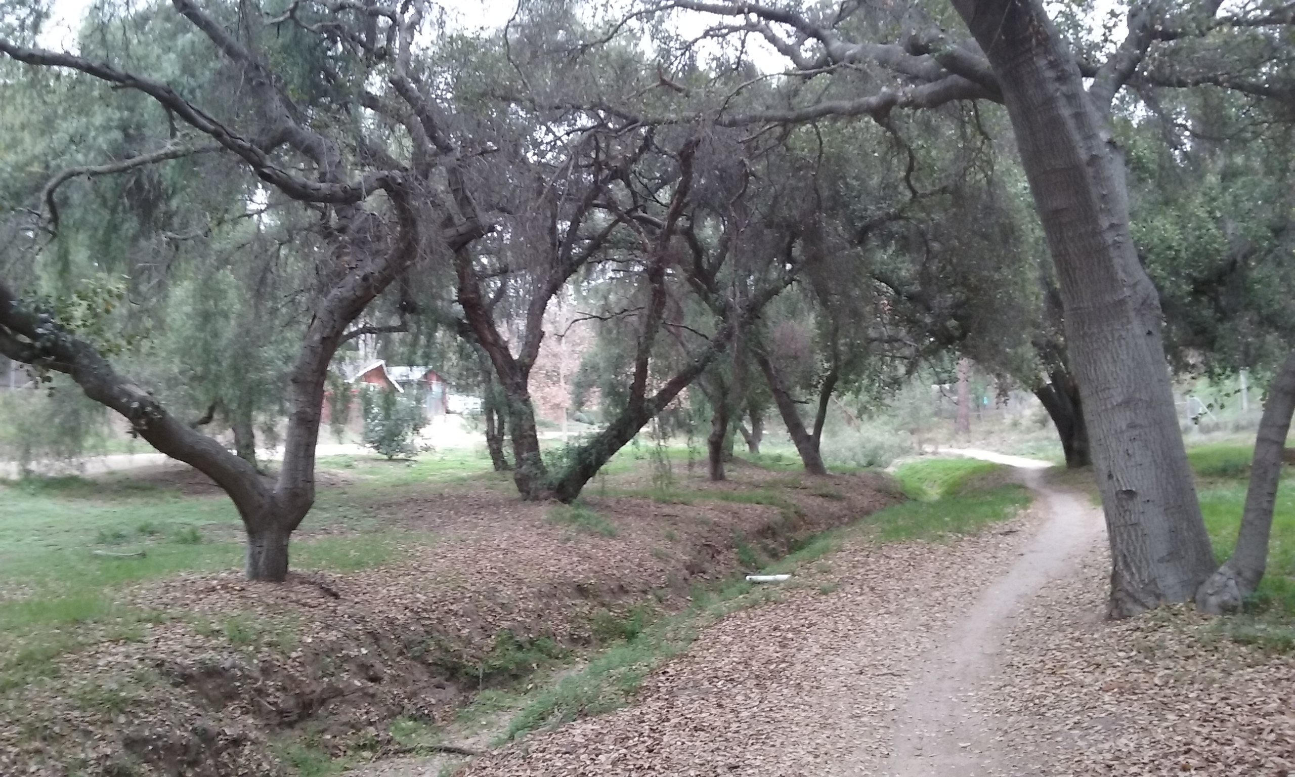 the narrower path is for bikes